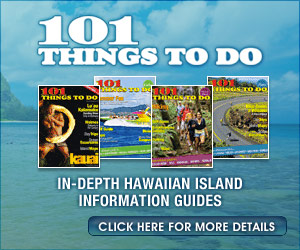 101 Things To Do in Hawaii